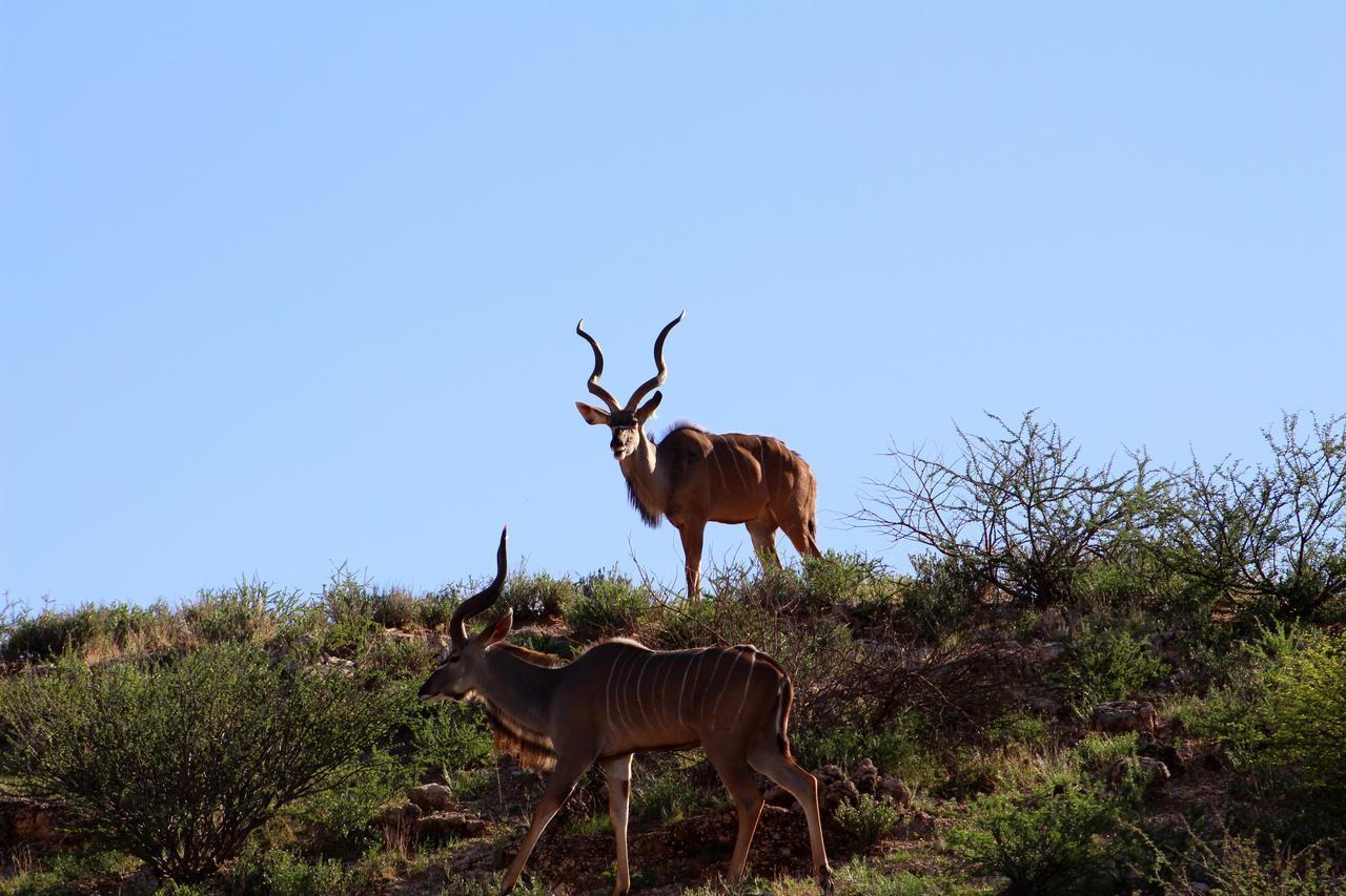 Kgalagadi Lodge Askham Exterior photo