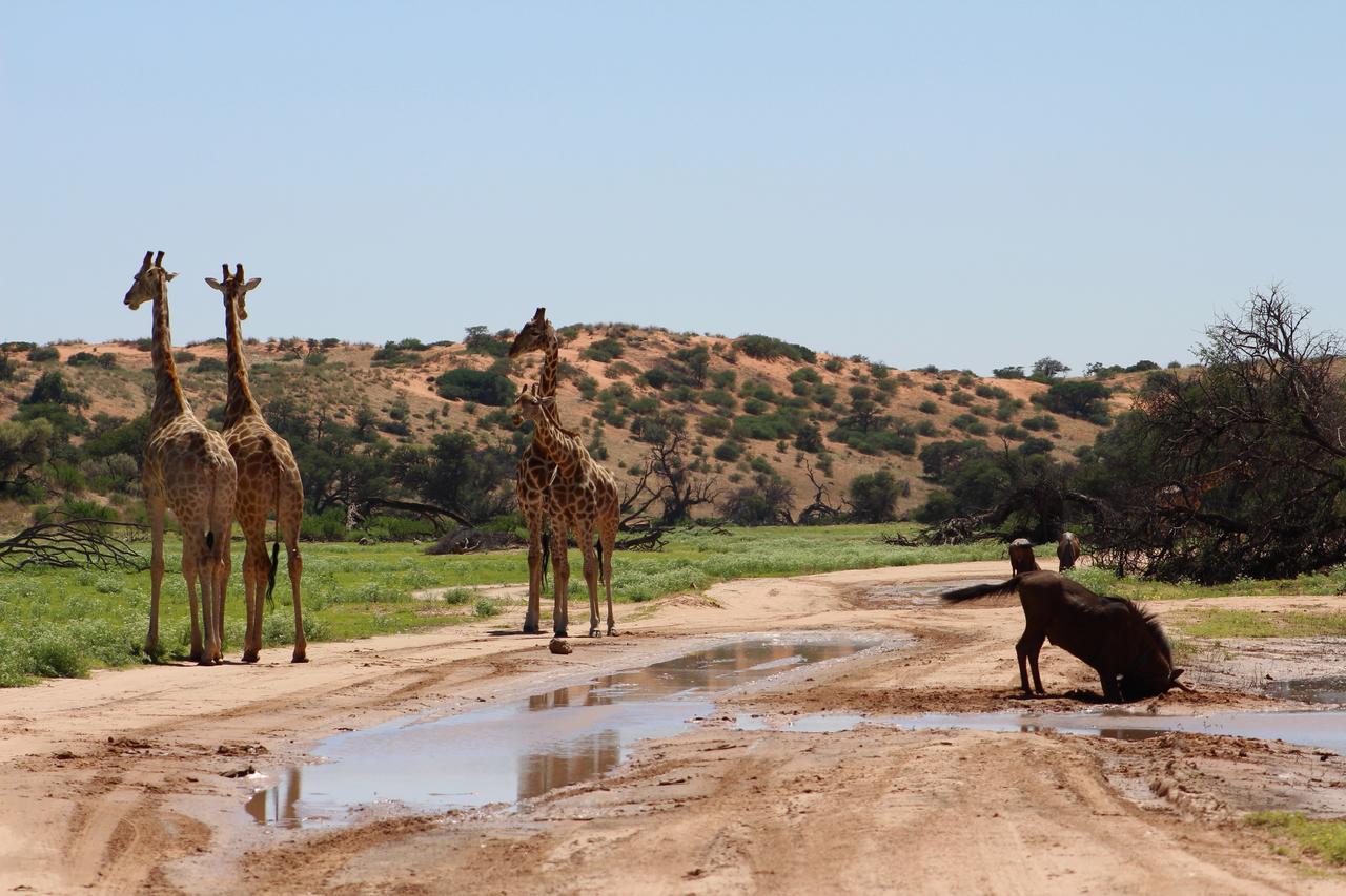 Kgalagadi Lodge Askham Exterior photo